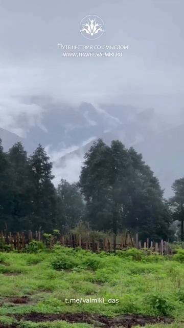 Кайлас | готовимся к подъему #путешествия #кайлас #гималаи смотреть онлайн