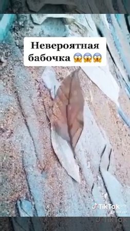 Конспирация