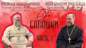 Как общаться с неприятным человеком и не возноситься/ДВА БАТЮШКИ/иерей Димитрий Привезенцев ЧАСТЬ 1