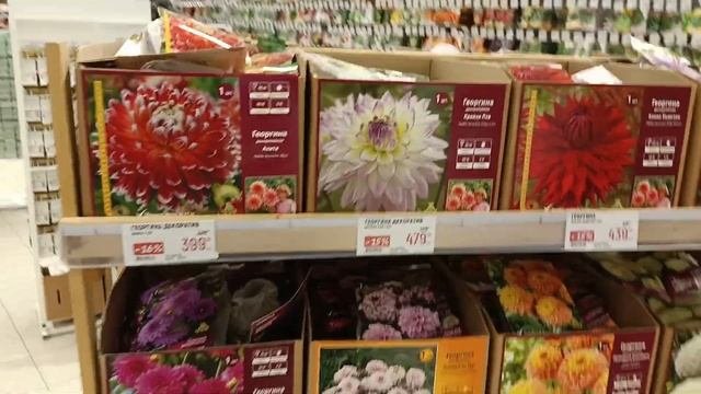 Глобус. Климовск МО. Обзор отдела сад-огород.