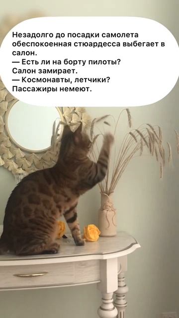 Посадка самолета. #анекдототкожаного смотреть онлайн