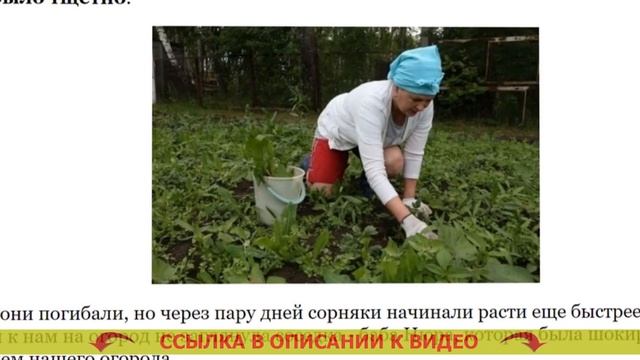 ИНСТРУКЦИЯ ПО ПРИМЕНЕНИЮ СРЕДСТВА ГЕРБИЦИД 👌 СРЕДСТ? смотреть онлайн
