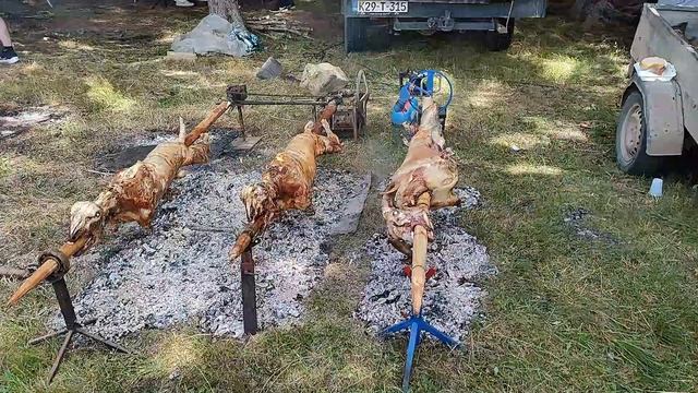 Много мяса на углях. Много танцев. Много Балканских тр? смотреть онлайн