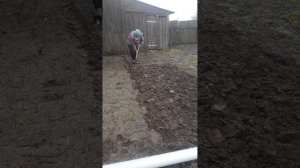 Как правильно вскопать грядку #грядки #огород #огородн