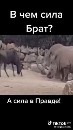 Отжать территорию