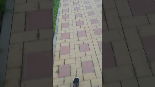 Участок и новый пруд1