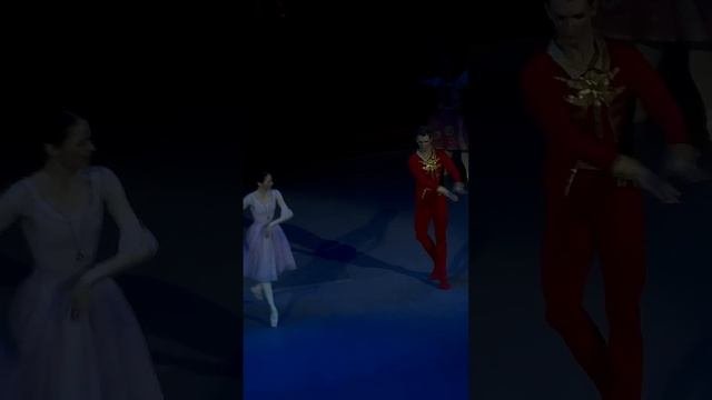 Семен Чудин, Анна Никулина, Щелкунчик, 07.01.25 #ballet #bolshoiball