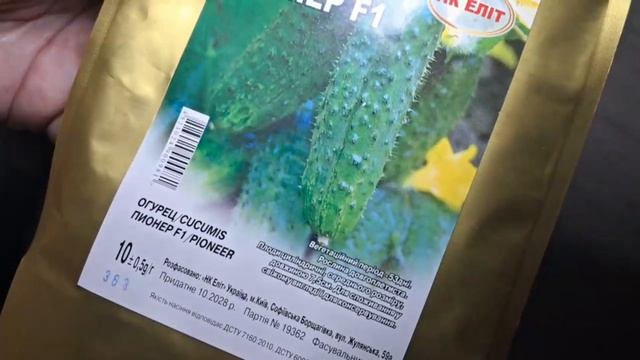 🥒ПОСЕВ И ВЫСАДКА РАССАДЫ ОГУРЦОВ🥒СРОКИ🥒Когда перв