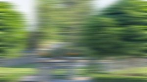 Топ-5 экзотических растений, которые приживутся на ваш