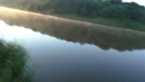 Рыбалка на толстолоба и ловля на фидер - пружину