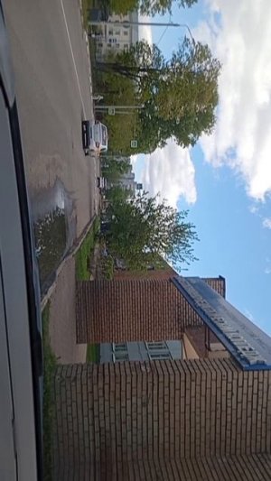 scene_output.mp4