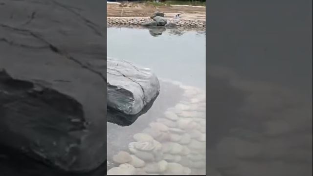 Заполнение пруда 💦 водой. Далее посадка растений и за