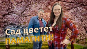 Сад цветет ЧТО ДЕЛАТЬ Уход за садом в мае
