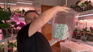 Отдаю орхидеи. Георгий Горячевский в прямом эфире!