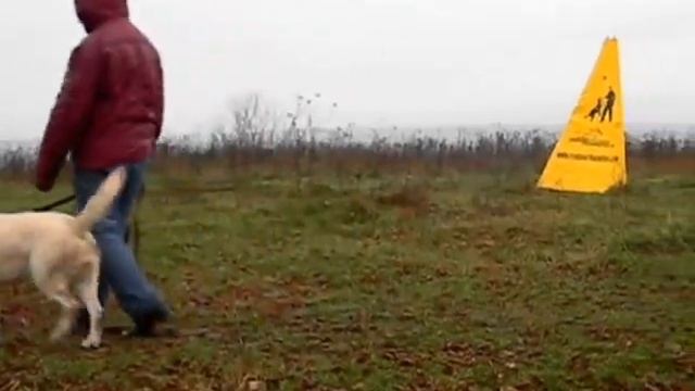 Видео, Площадка, Павлово, 21 окт  2012 года смотреть онлайн