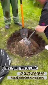 Услуги посадки растений на садовых участках Москвы и ?