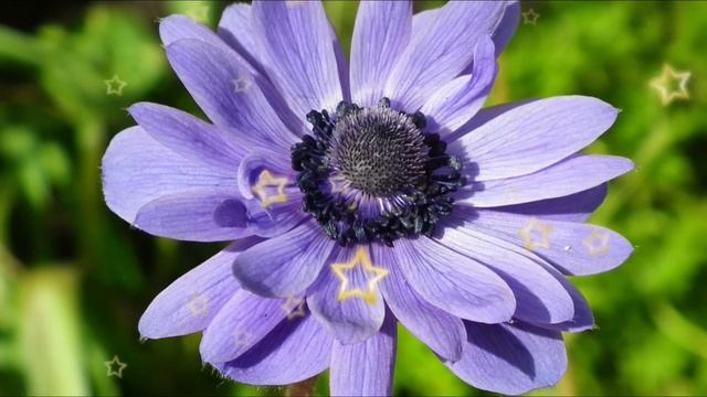 УЖЕ НЕСКОЛЬКО ЛЕТ МЫ НЕ ОБЩАЕМСЯ С СЕМЬЕЙ МУЖА. смотреть онлайн