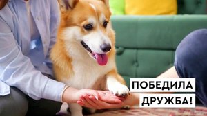 Эпизод 16. Дружба