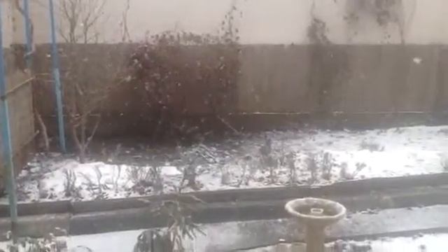 Утром выпал снежок смотреть онлайн