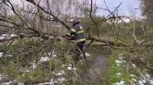 В Подмосковье продолжают восстанавливать электричество после масштабной аварии из-за майского сне...
