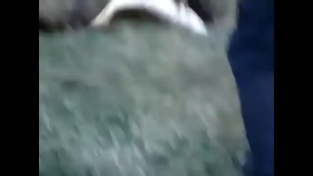 РЫБАЛКА ПО РУССКИ 2021 ! ПОДБОРКА ПРИКОЛОВ НА РЫБАЛКЕ Пьяные на рыбалке ПЕРЕЗАГРУЗКА #12 смотреть онлайн