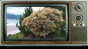 Ты забудешь...из цикла "Румынские напевы"...