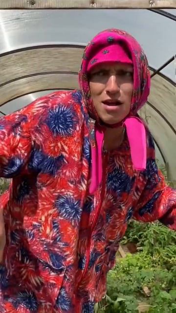 За клубникой на чужой огород| бабуля все видит. #shorts смотреть онлайн