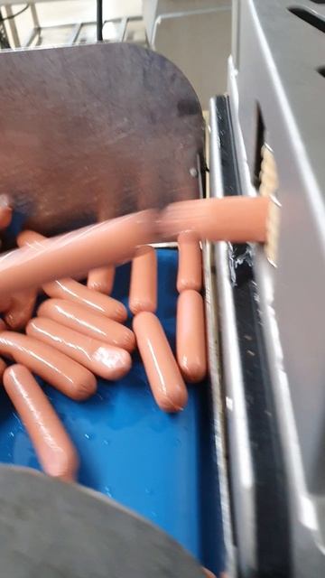 Делитель по 1 сосиске