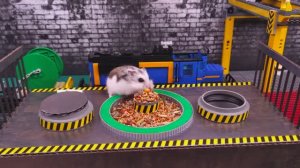 Умнейший Хомячок сбегает из самого сложного ЛЕГО Лабиринта! Приключения Хомячка Хомы для детей