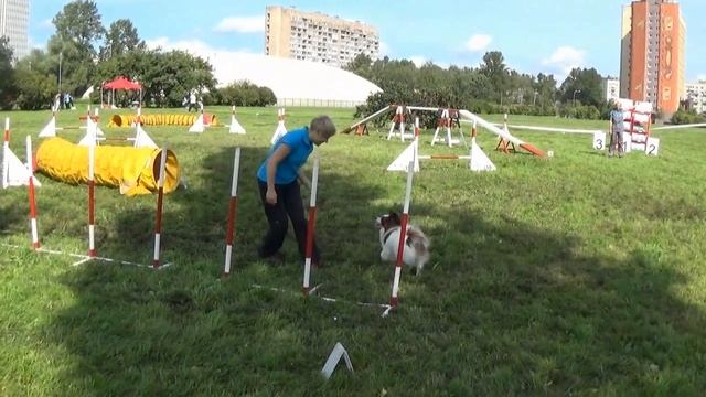 Кристаллик аджилити 27 августа