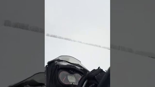 Снег Солнце и желание разнообразить свою жизнь 😉 смотреть онлайн