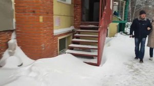 Семена на выброс/Наши будни#сибирь#огород#влог#жизнь#ц