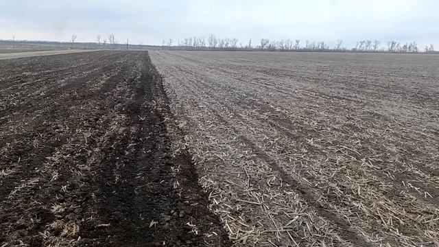 МТЗ-82+АГ-2.4 Дискування соняшника. смотреть онлайн