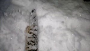 Удачная рыбалка. На рассвете ловим Щук!