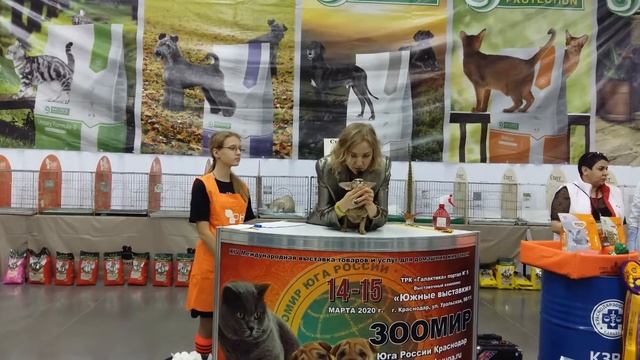 15 марта 2020 г. смотреть онлайн