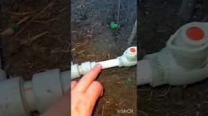 Жидкие  удобрения  капельным  поливом