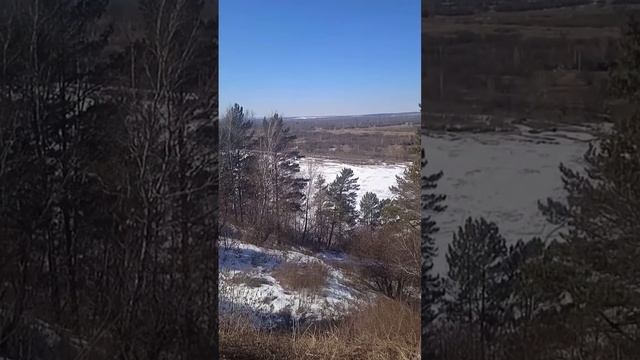 Диагноз Реакция горя