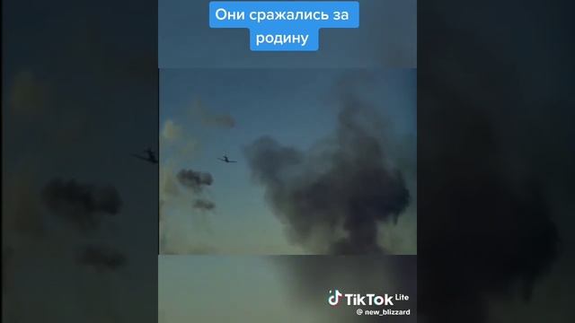 Они сражались за родину