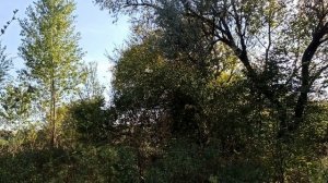 САМЫЕ БЛАГОПРИЯТНЫЕ ДНИ ДЛЯ МАНИКЮРА В ОКТЯБРЕ 2024 по л