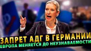 Запрет АдГ в Германии изменит Европу до неузнаваемости