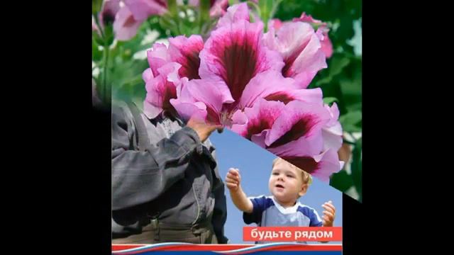 ДЕНЬ ПОЖИЛОГО ЧЕЛОВЕКА