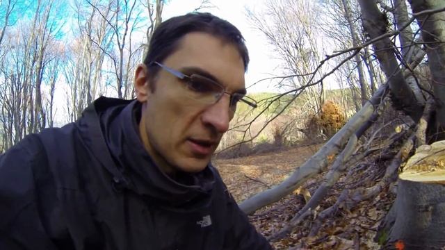 1500 незаконно изсечени дървета в Природен парк Витоша! - Част 1