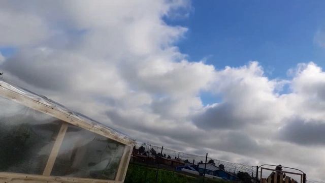 Огород после дождя.#огородпоследождя#
