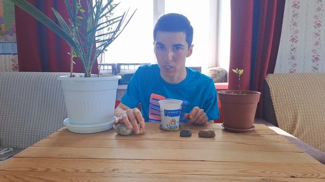 ЗЕМЛЯ ДЛЯ РАССАДЫ | ЖИВАЯ ЗЕМЛЯ | ПЕРМАКУЛЬТУРА смотреть онлайн