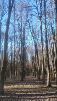 Мартовский парк