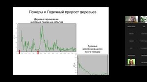 Состояние и динамика компонентов углеродного цикла в лиственничниках криолитозоны Средней Сибири