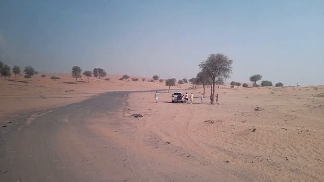 Сафари в пустыне. Часть 1. смотреть онлайн