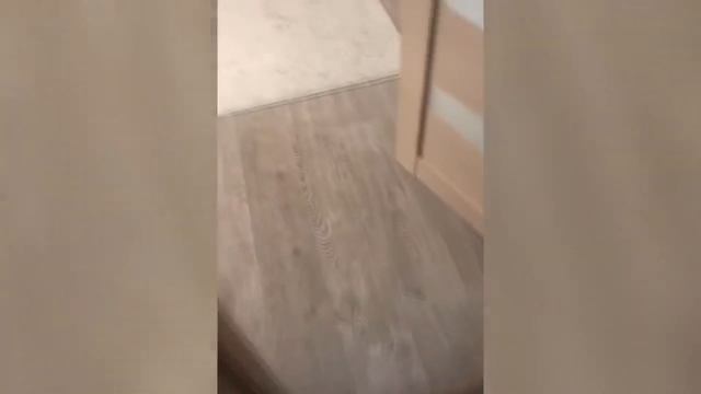 😂😂😂Тест на психику.Засмеялся подписался десять минут смеха.ЛУЧШИЕ ПРИКОЛЫ 2020.😂😂😂