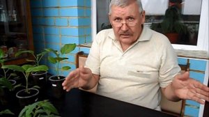 О хранении чеснока