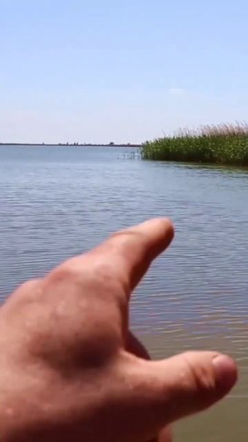 Западенский Лиман Маныч #рыбалка #маныч #карась #озеро
